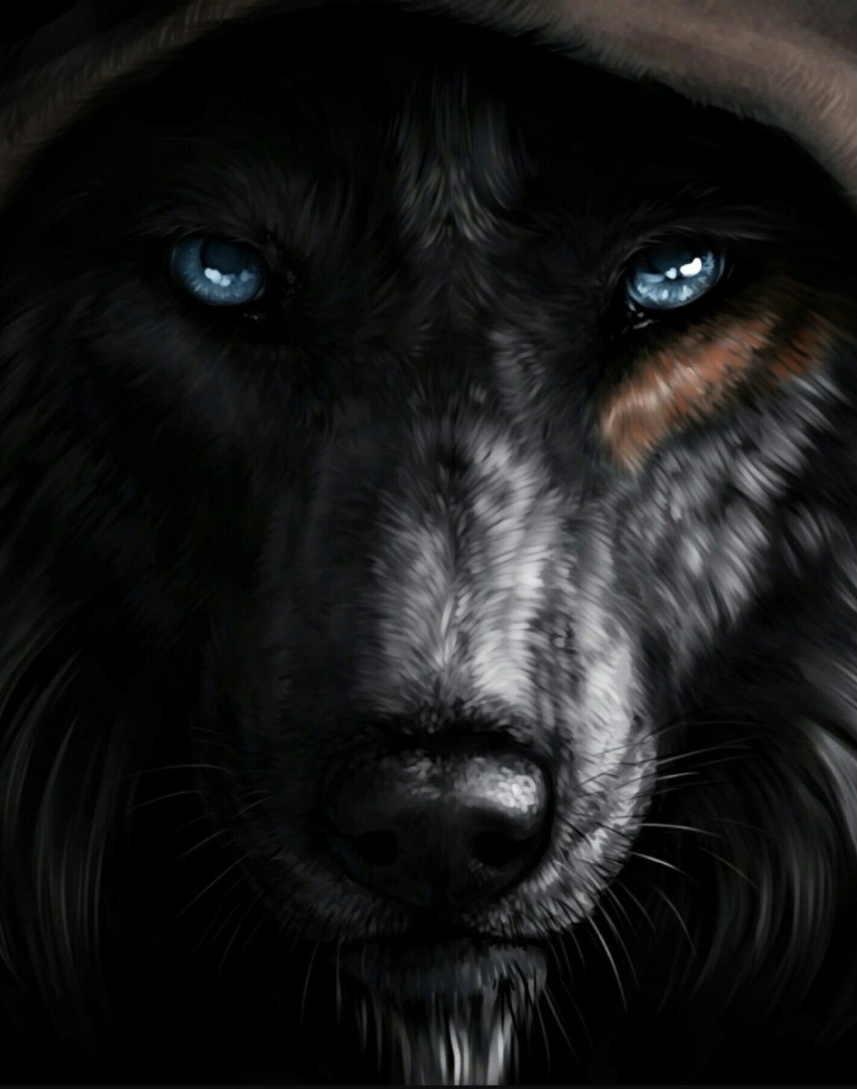 Брутальный волк