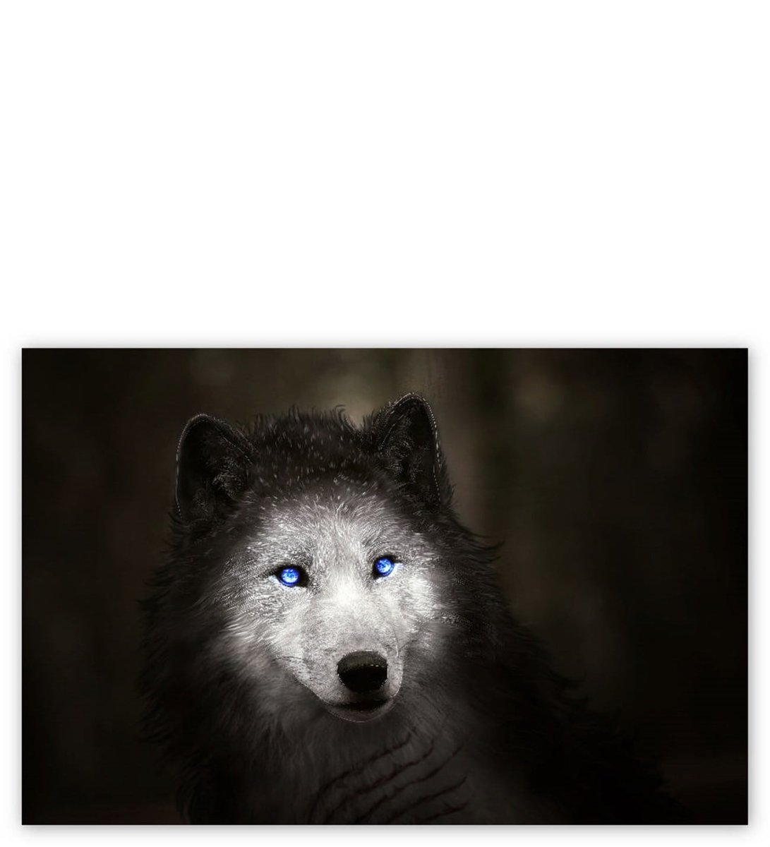 Черный волк с голубыми глазами