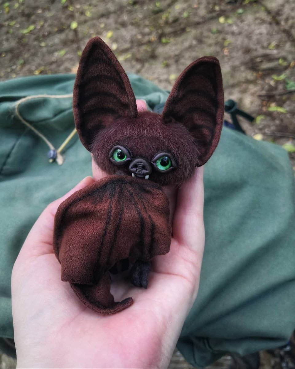 Летучая мышь деревенская