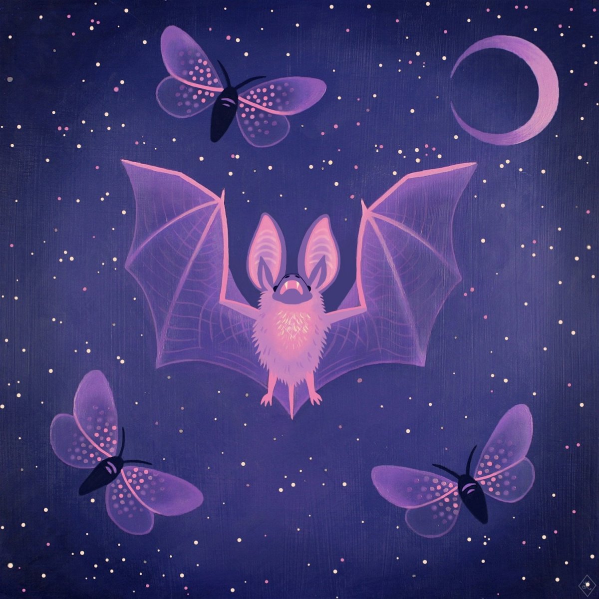 Летучая мышь белобрюхий стрелоух