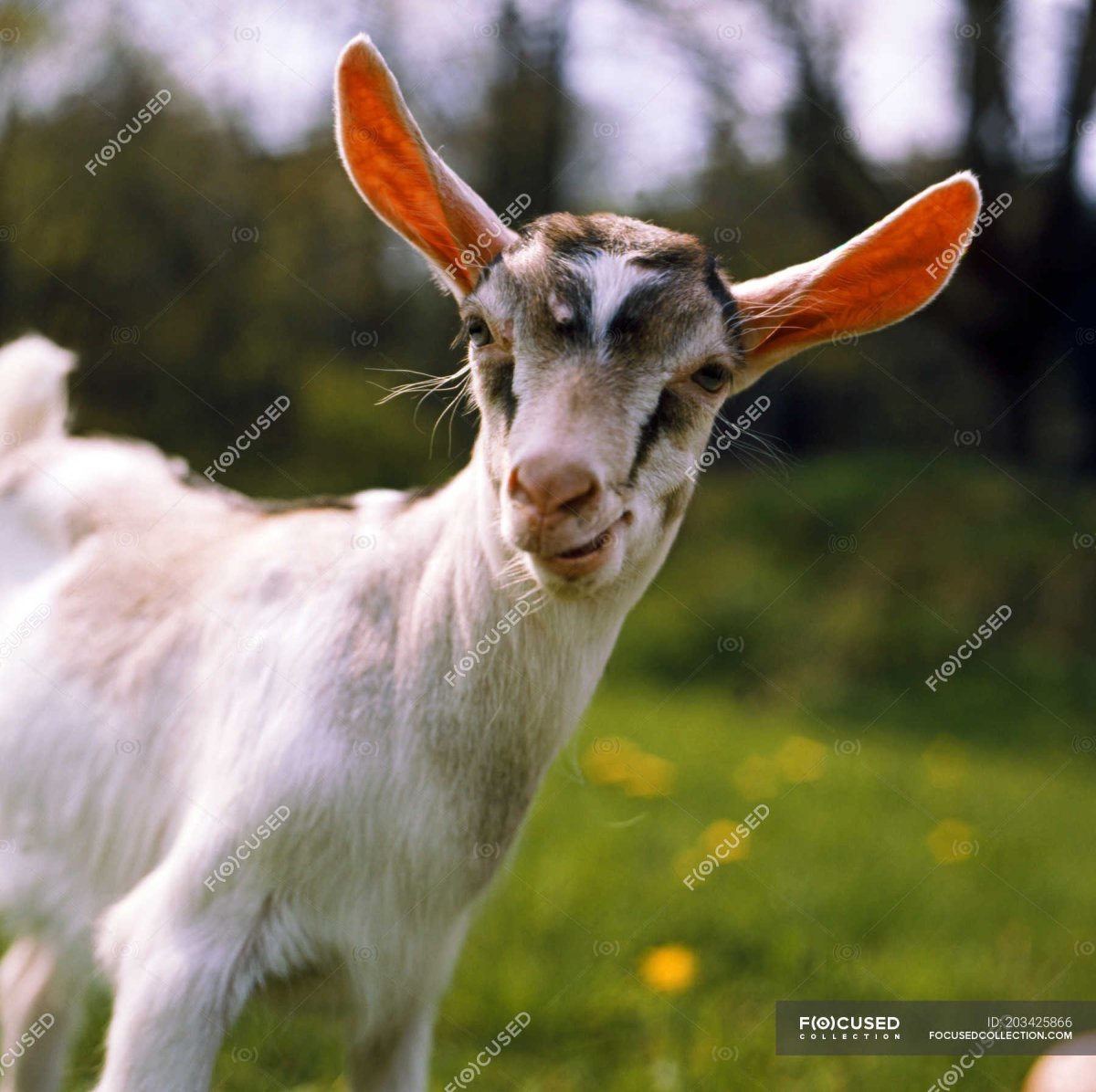 Ты одна такая нет у меня еще подруга есть