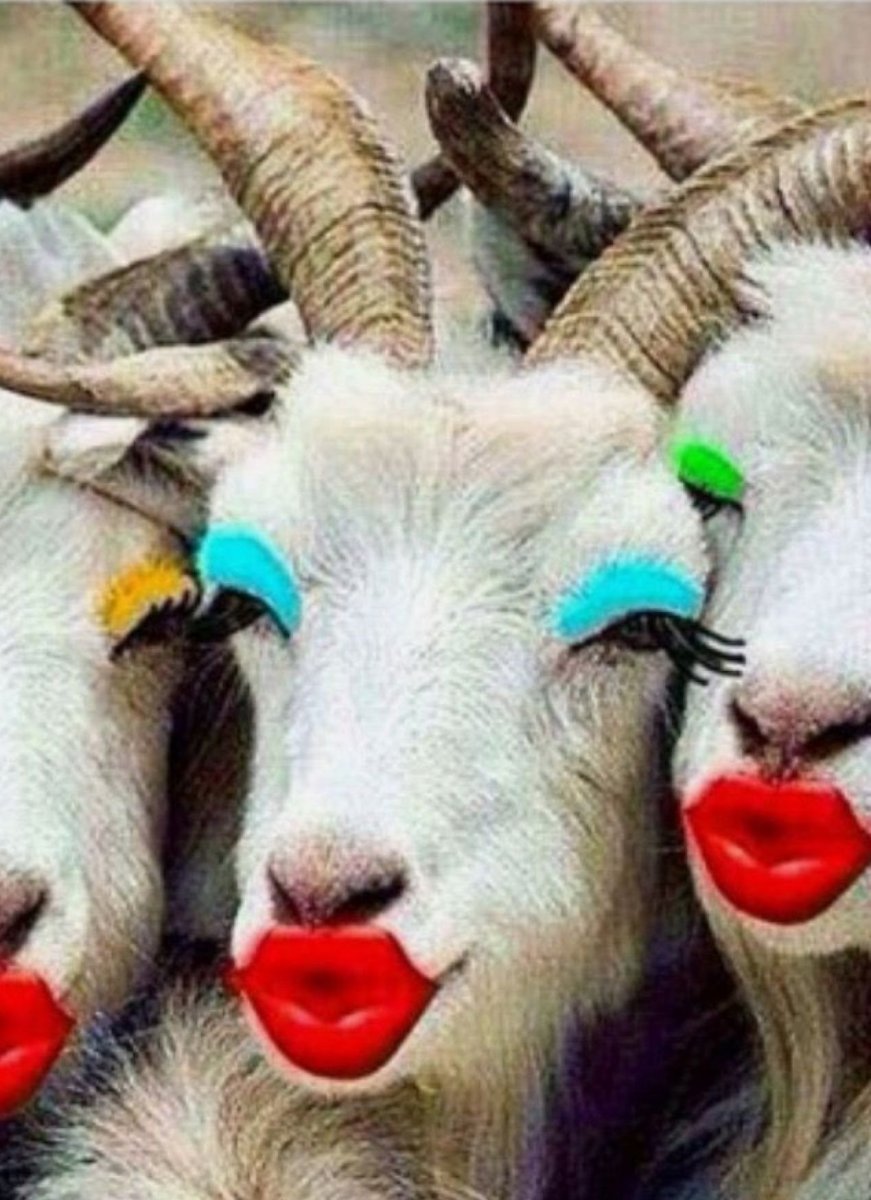 Коза с накрашенными губами