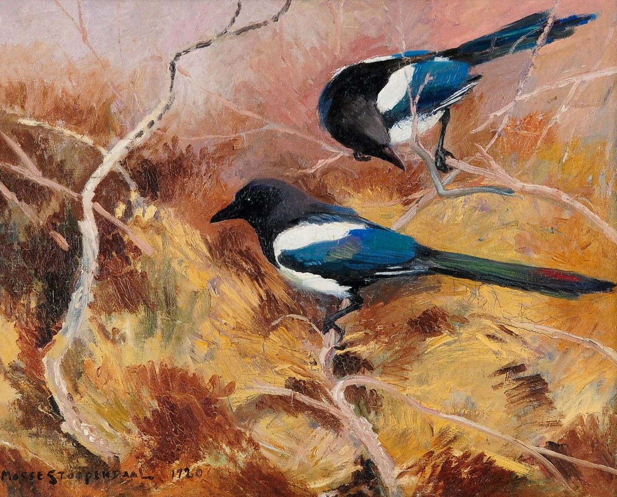 Сорока картинка для детей