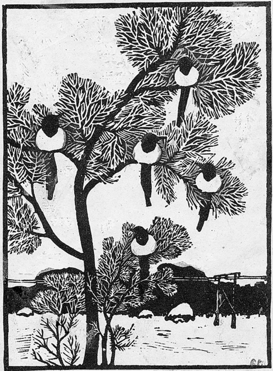 Гнездо вороны Воронье гнездо