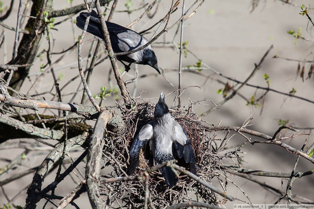 У нас холодно а у вас