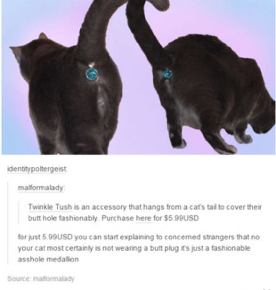 Украшение на хвост коту