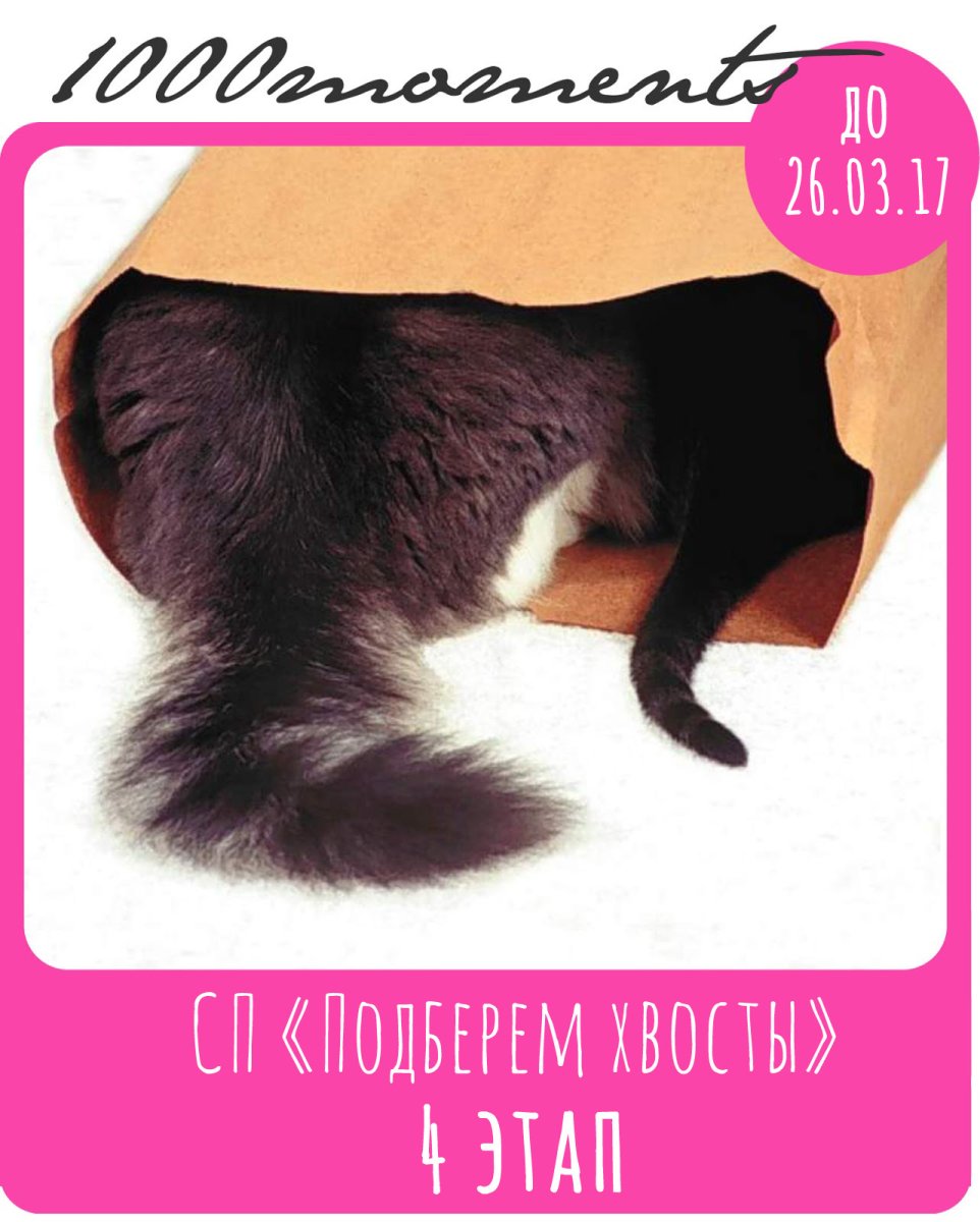 Хвостик кота