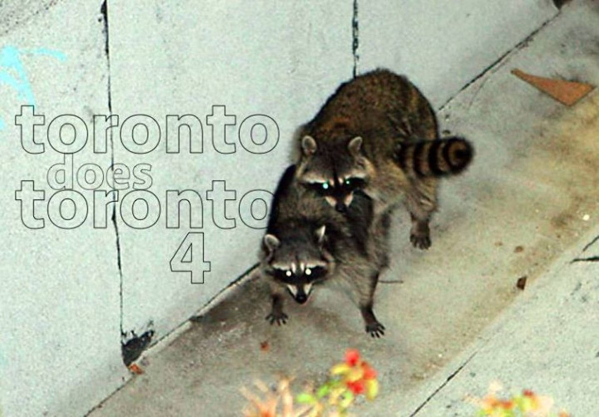 Мышиное гнездо