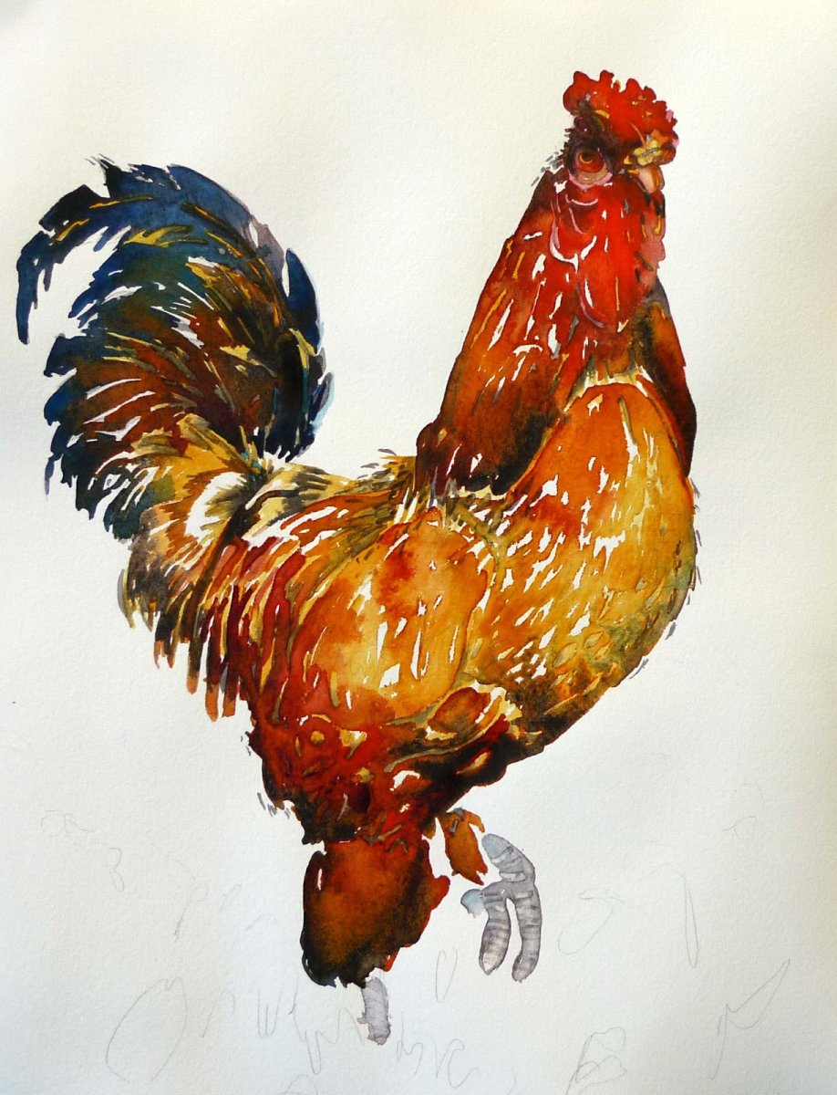 Кораллы Ботаническая иллюстрация