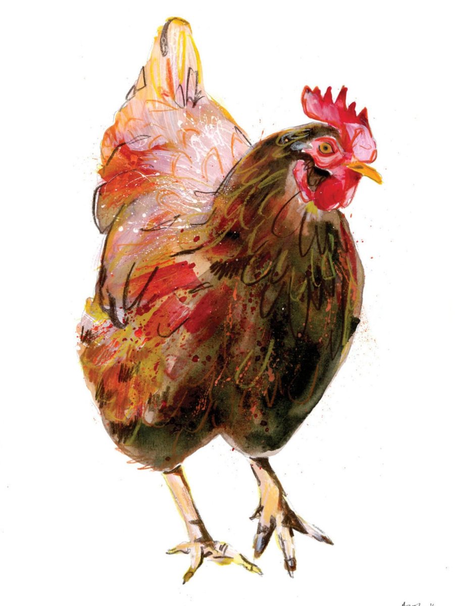 Курица стилизация