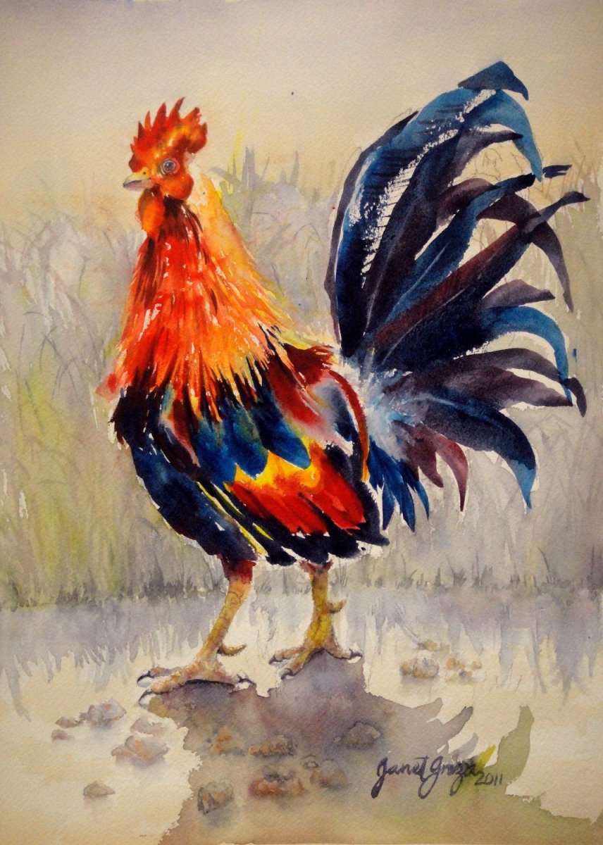 Петухи кросс коралл