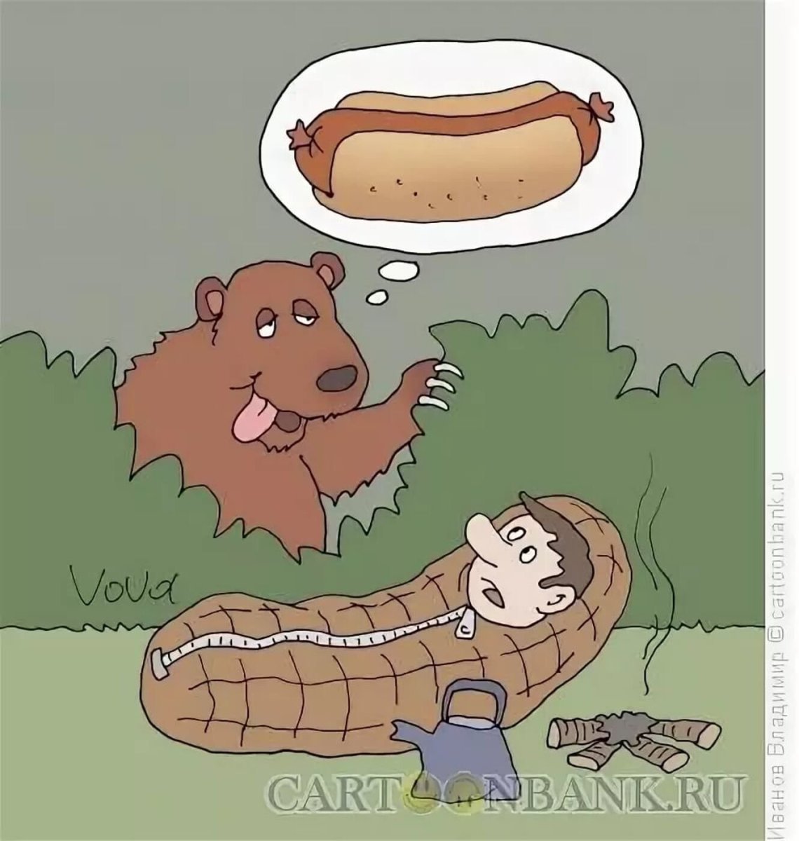 Толстый медведь прикол