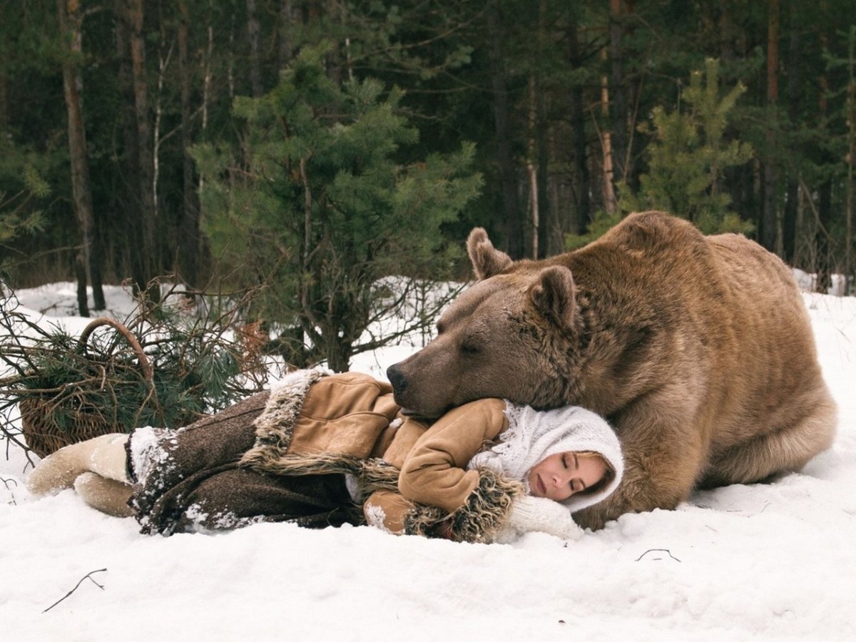 Алексей медведь
