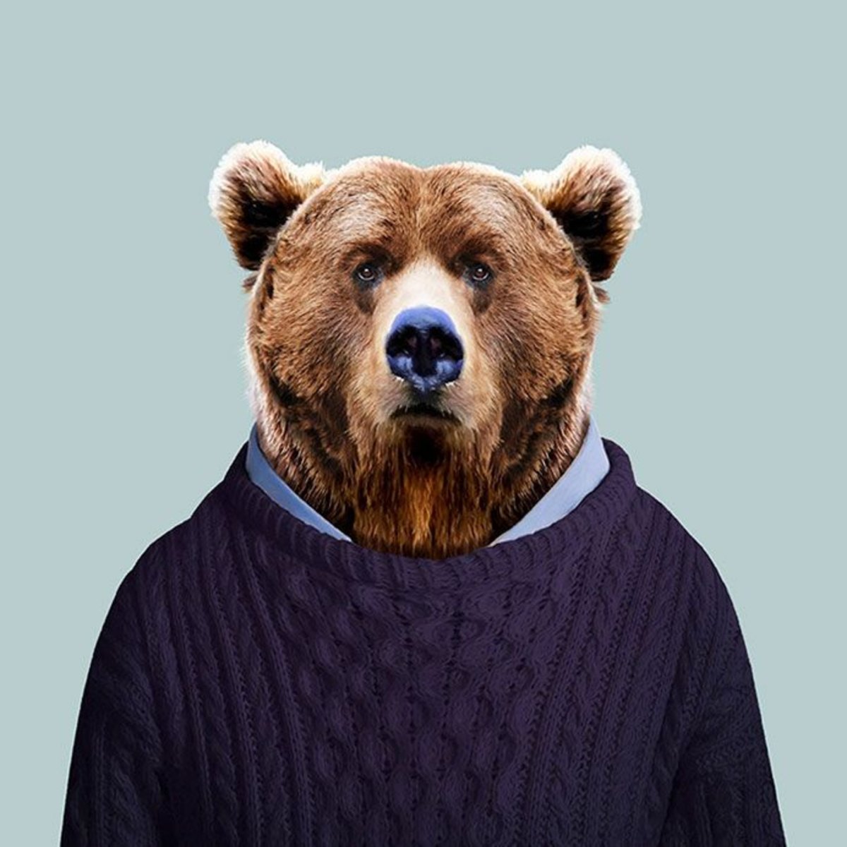 Обнимашки с медведем