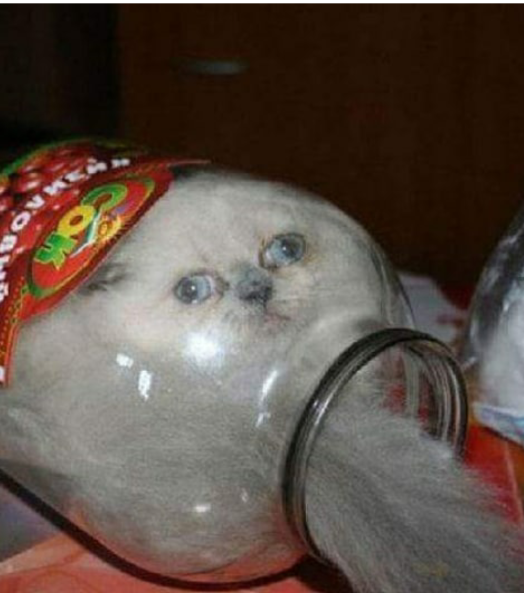 Забанен прикол