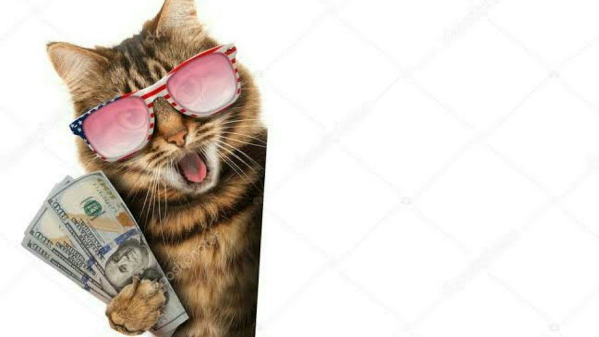 Кот на фоне денег