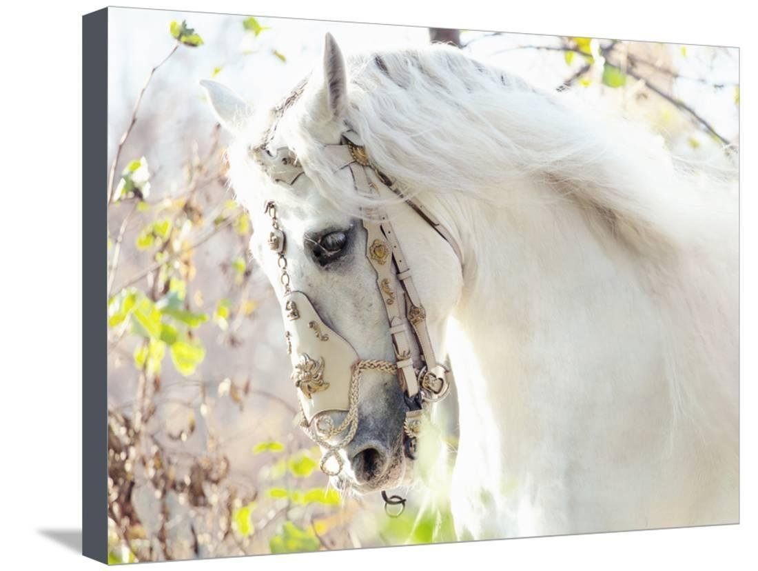 Лошадь весной