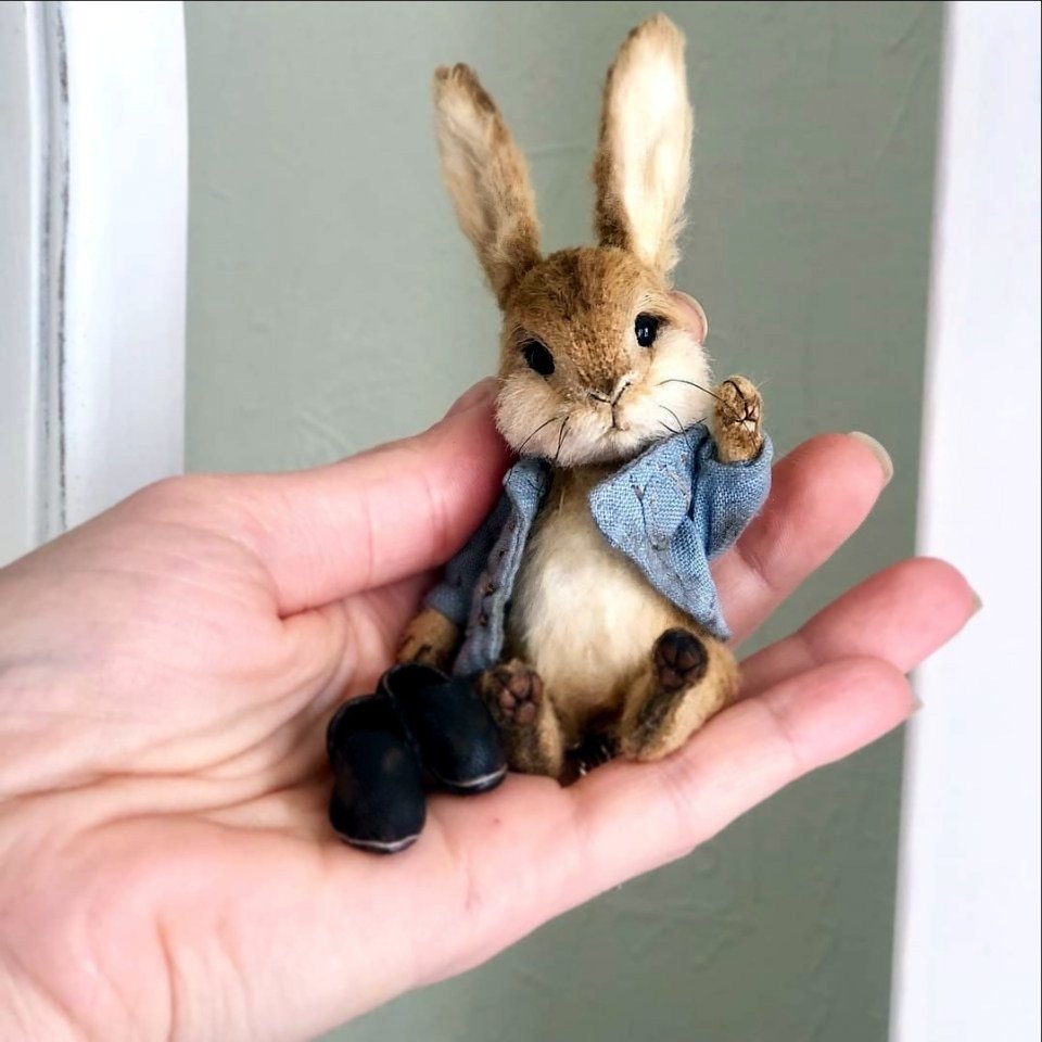 Удивительный заяц