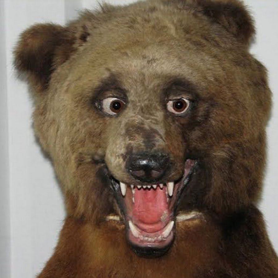 Страшные чучела животных