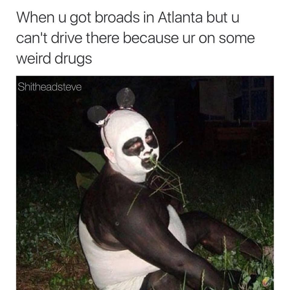 Панда и человек