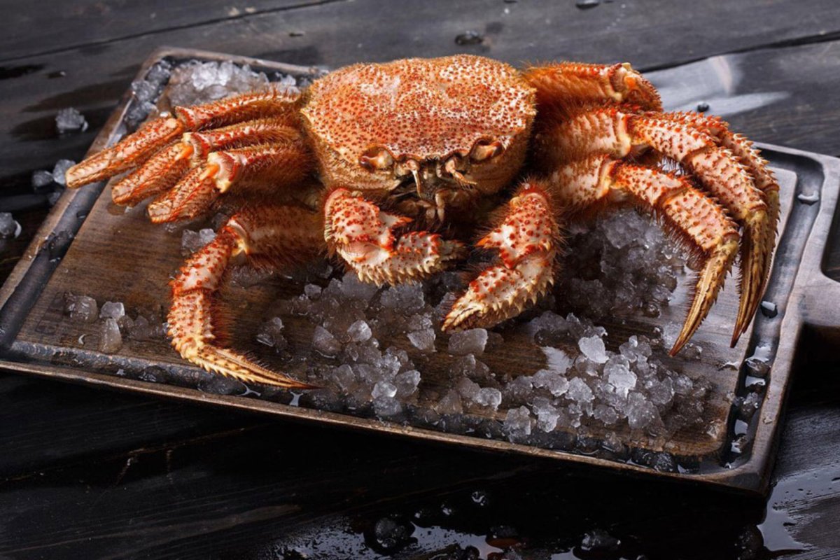 Дальневосточный краб волосатик