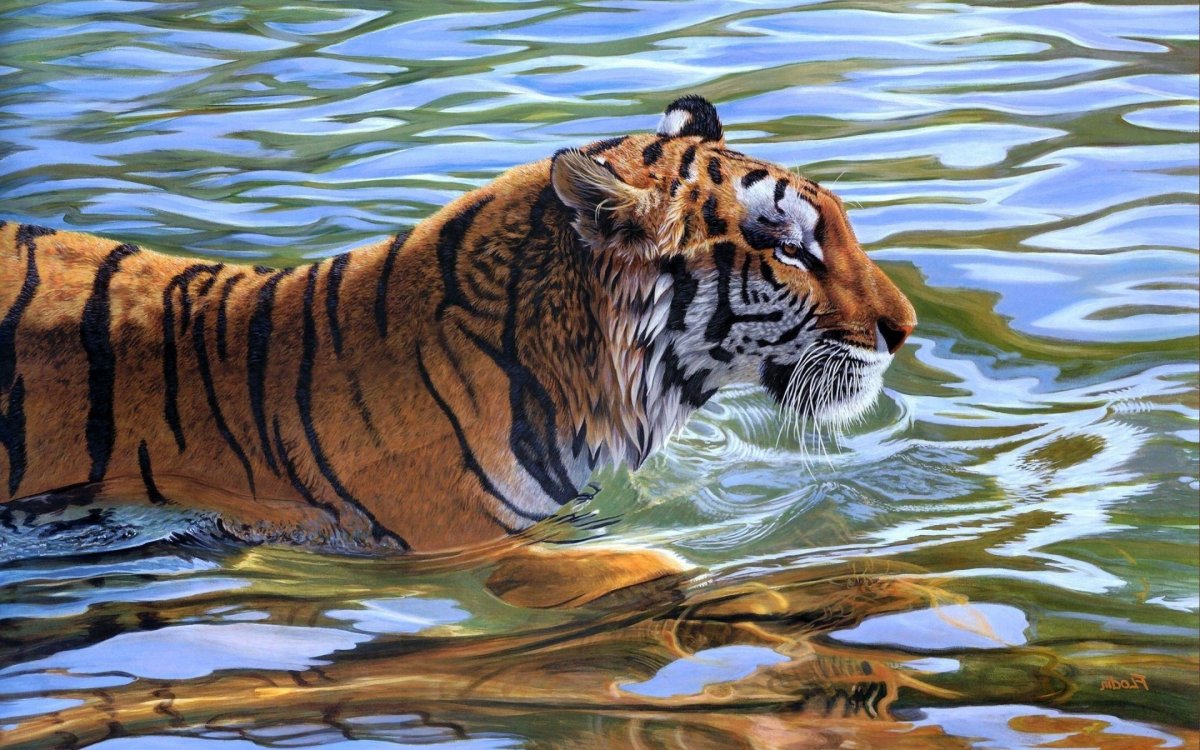 Тигр картина
