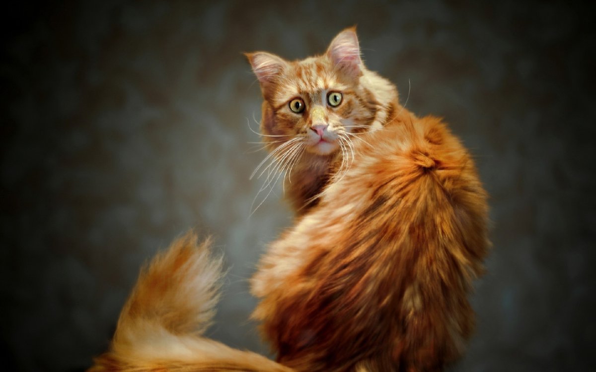 Отпуск закончился