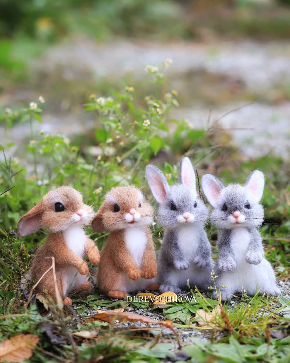 Маленький зайчик