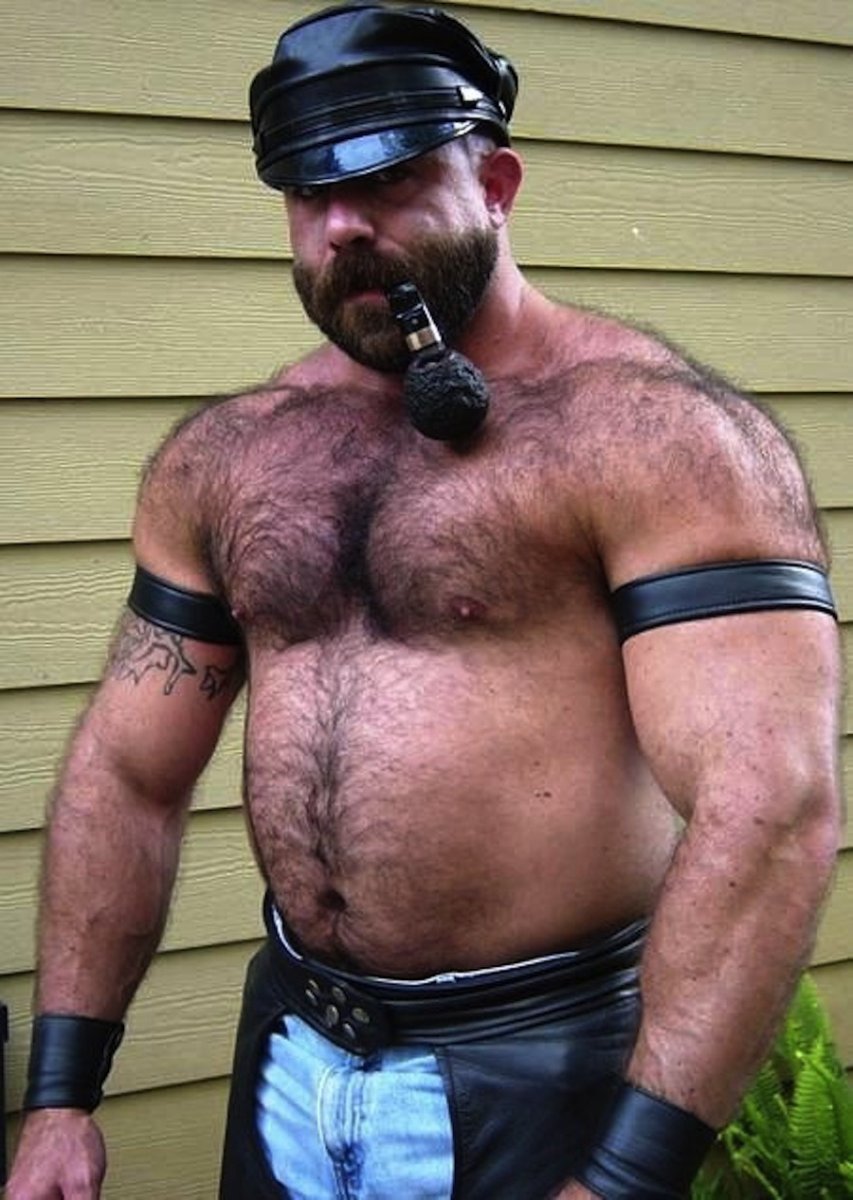 Медведи (субкультура)