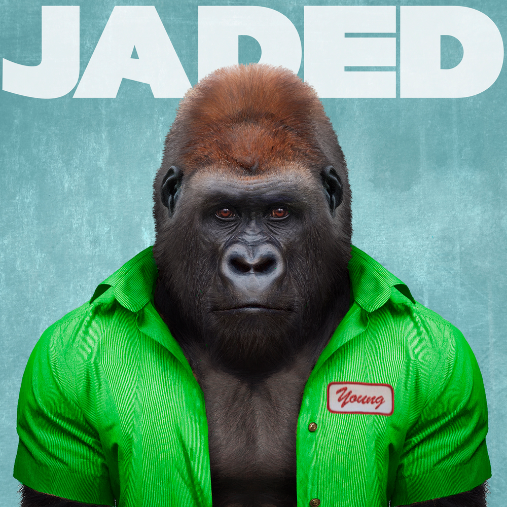 Горилла Браво