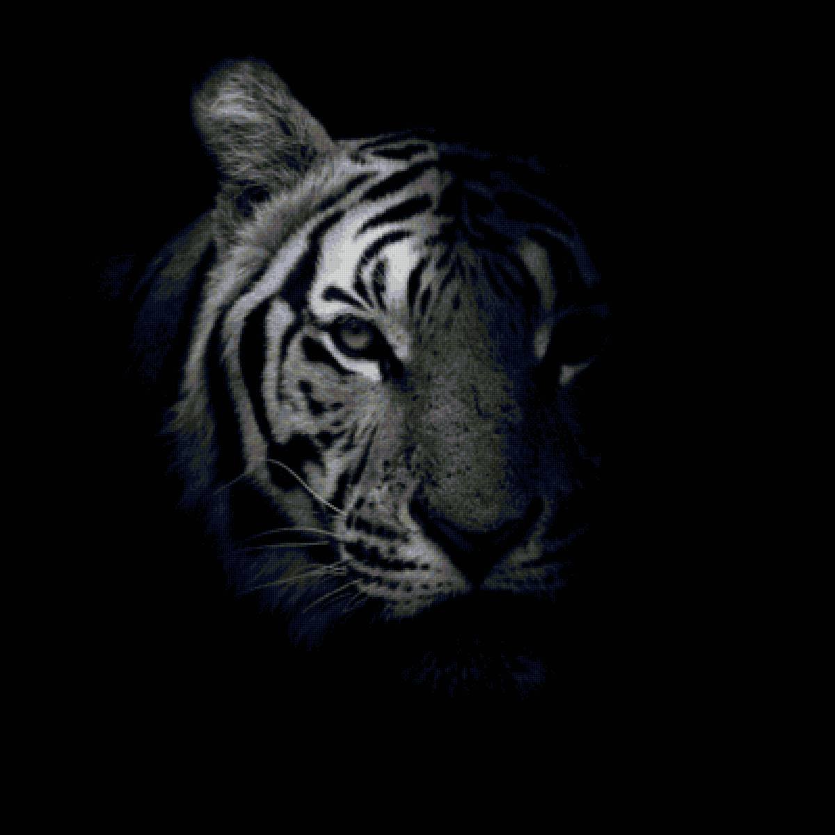 Белый тигр в темноте