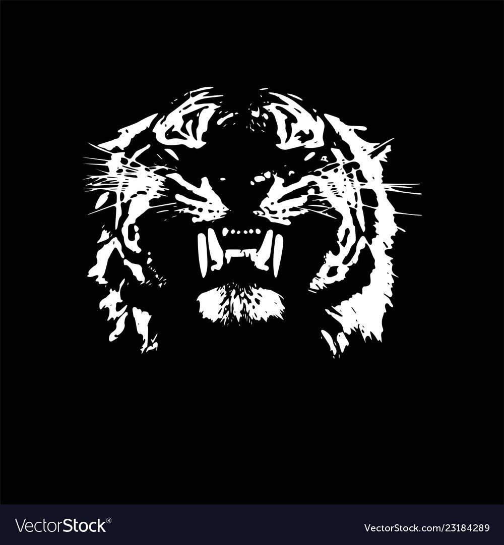 Тигр вектор на черном фоне