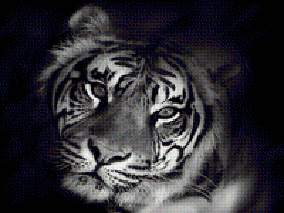 Картина тигр черно белая