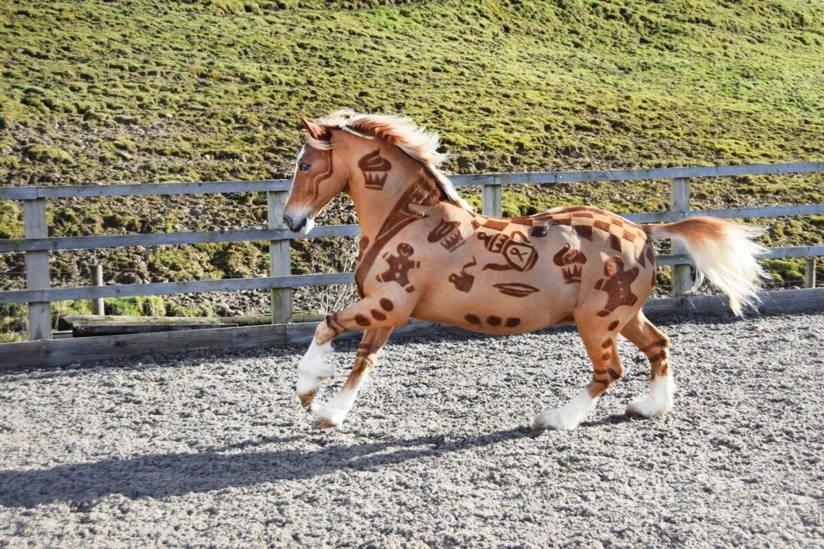 Художественная стрижка лошадей
