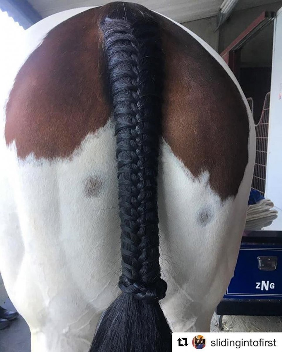 Причёски для лошадей