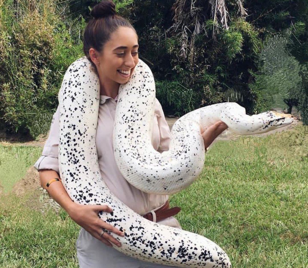 Александра Миронова питон