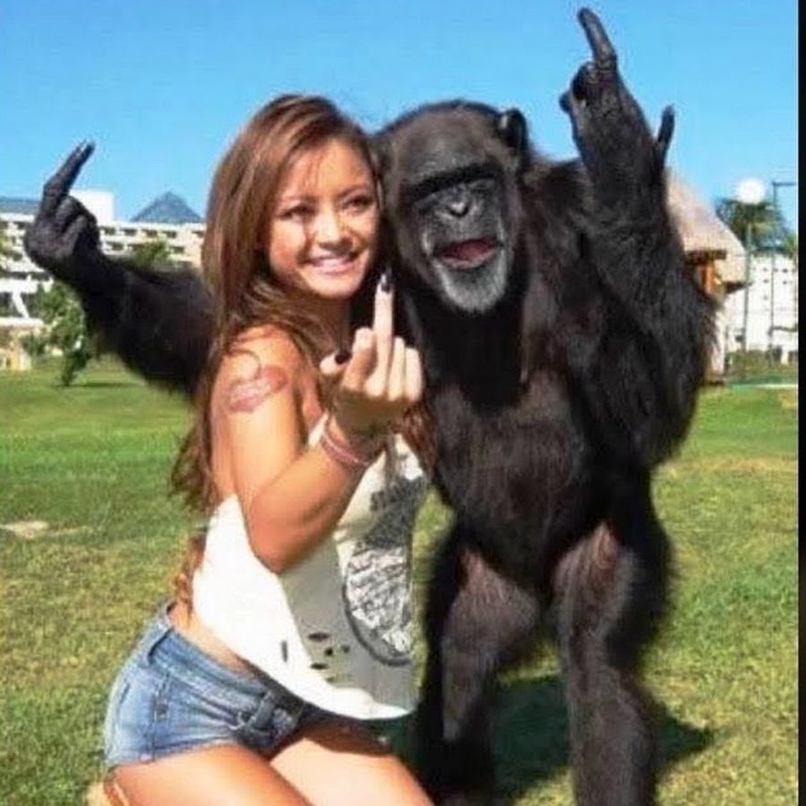 Девушка с обезьянкой