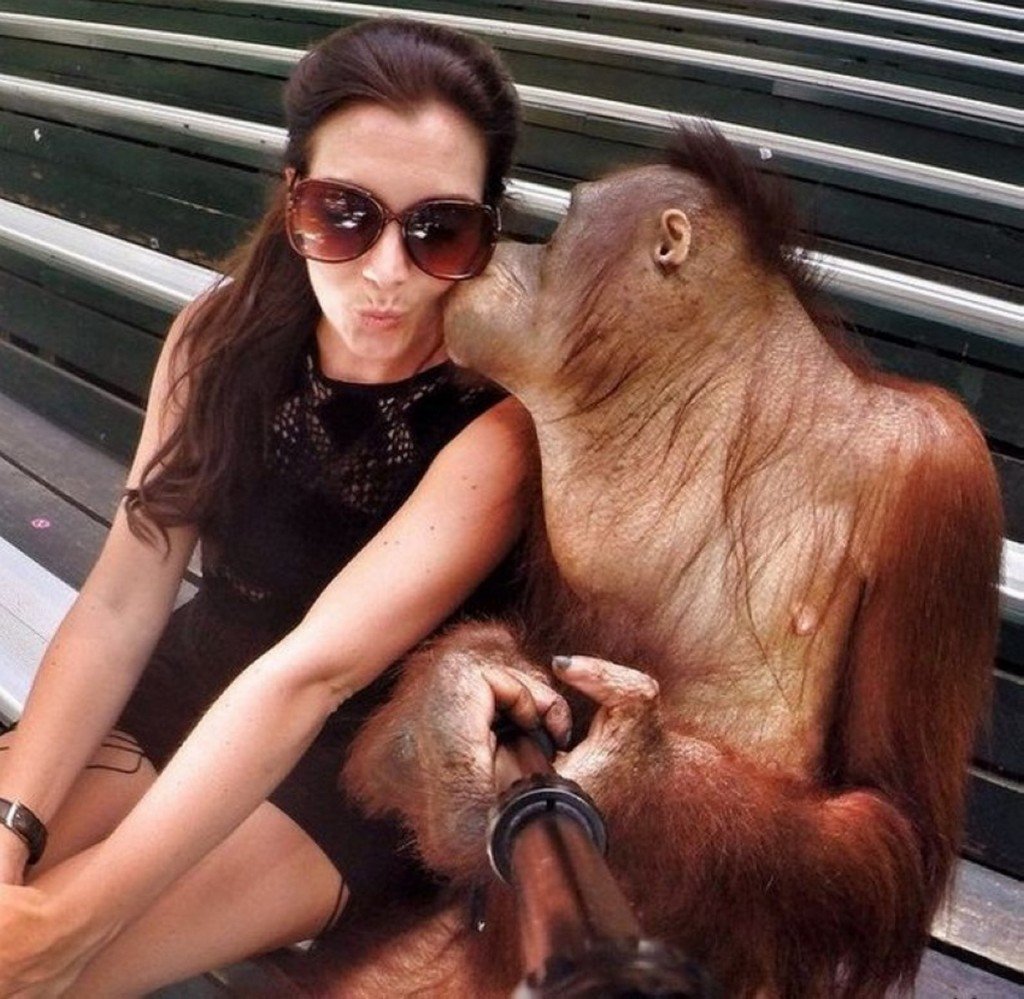 Девушка и обезьяна