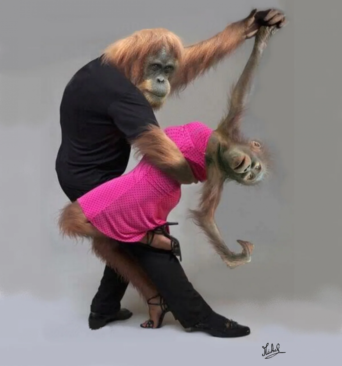 Смешные картинки обхохочешься