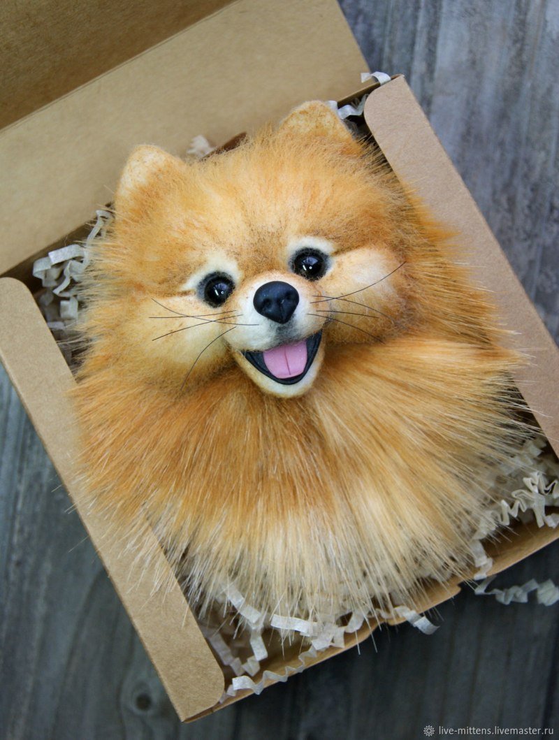 Брошка шпиц из шерсти