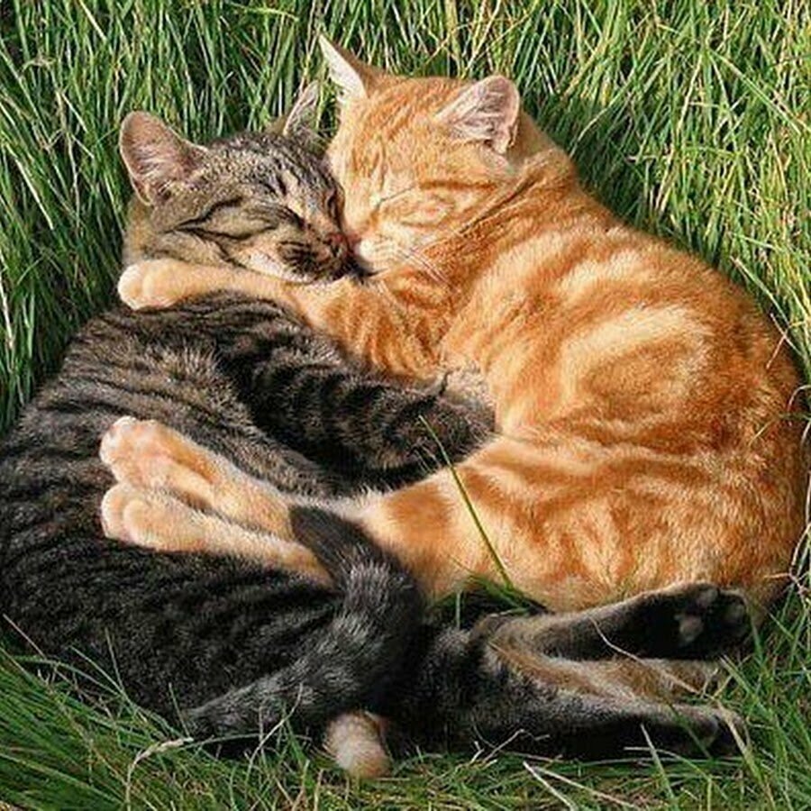 Мне хорошо рядом с тобой