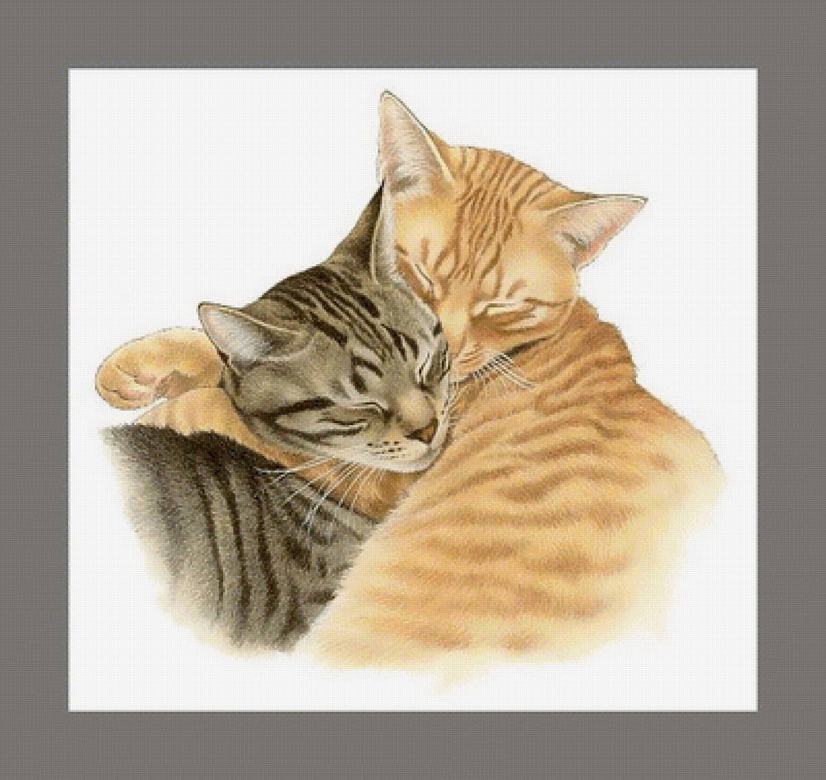 Котята обнимаются