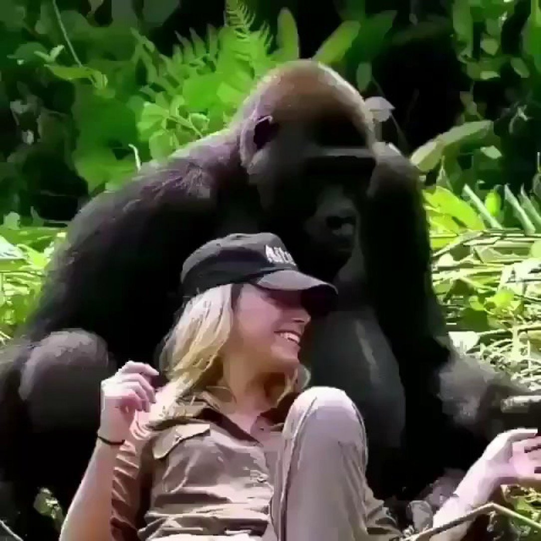 Девушка с обезьянкой