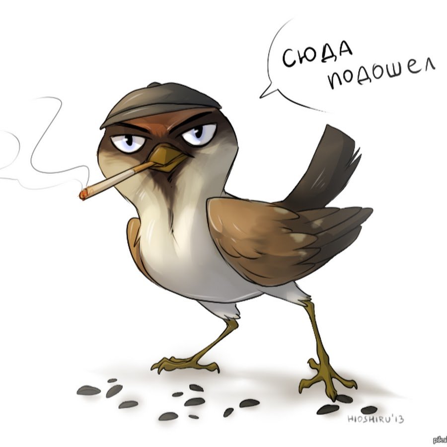 Ранняя пташка карикатура