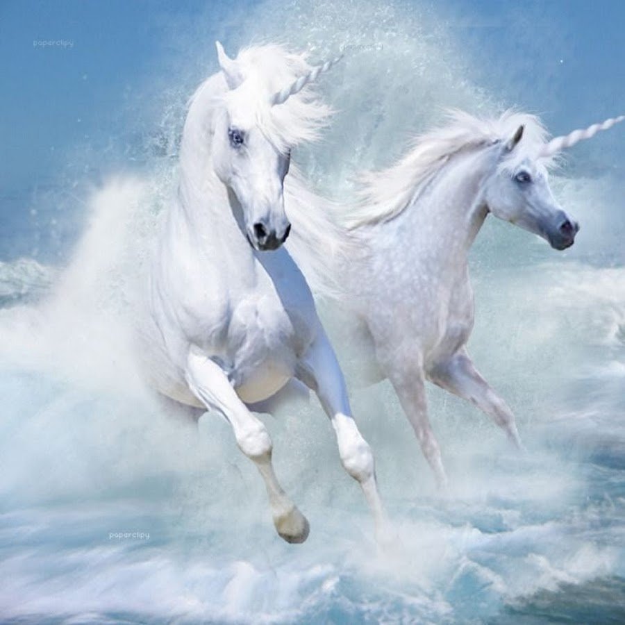 Табун единорогов