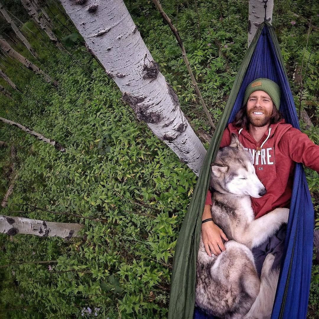 Мужчина в гамаке и собака