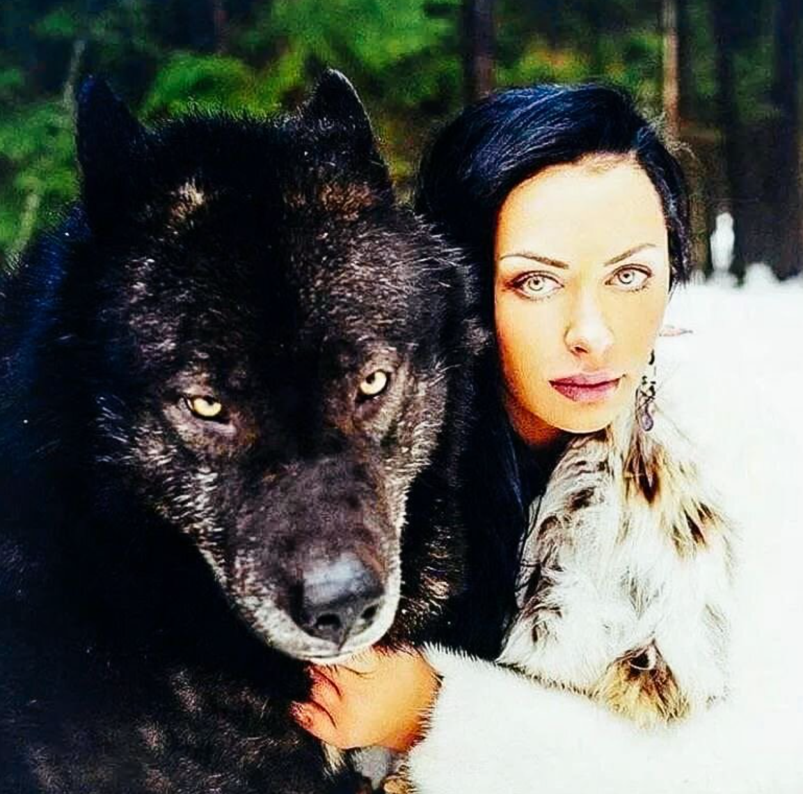 Волкособ вольфхунд