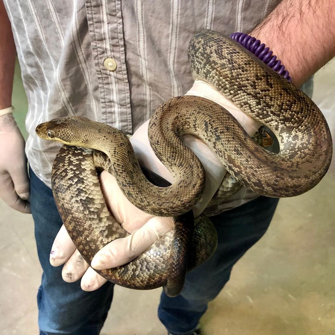 Range(10, 25) питон