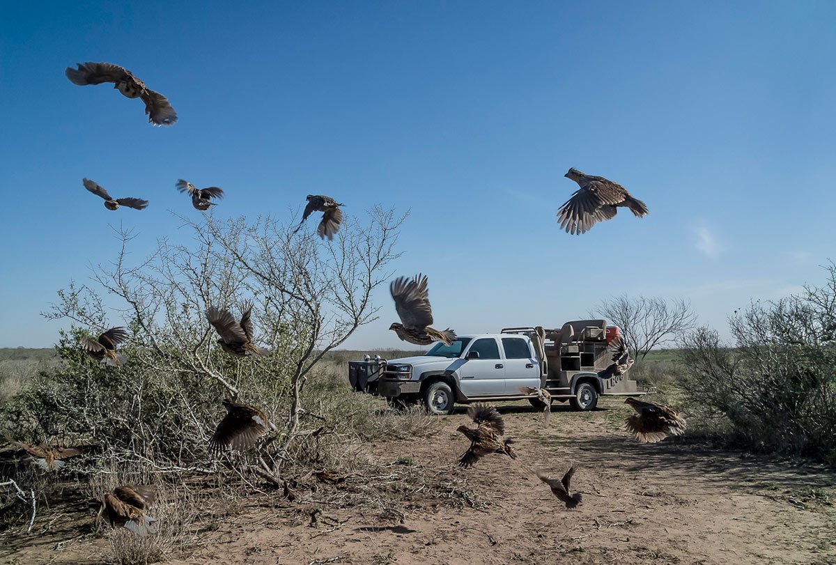 Охота из машины