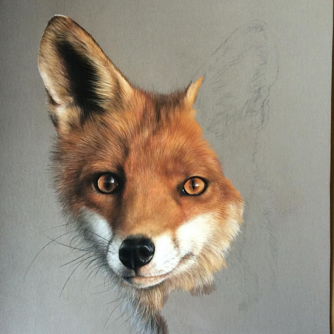 Портрет лисы